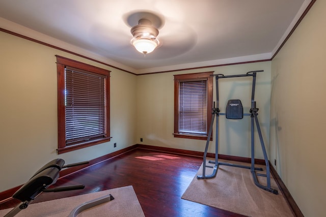 130 N Elm St, Leland, IL 60531 - exercise area with baseboards, crown molding, and wood finished floors