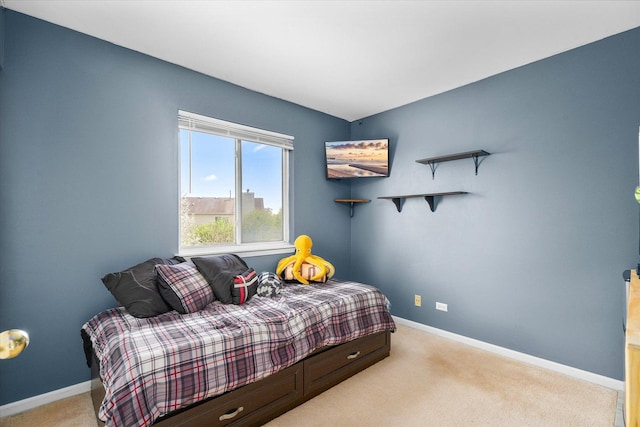 968 N Lancaster Cir S, Elgin, IL 60177 - bedroom featuring baseboards and carpet flooring