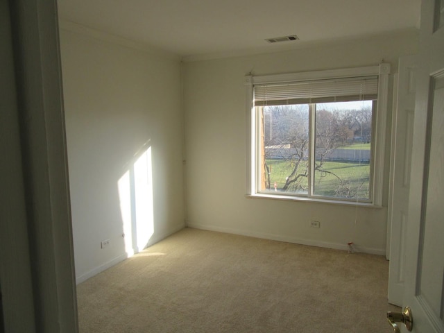733 Limerick Ln Unit 3D, Schaumburg, IL 60193 - empty room with carpet flooring, baseboards, and crown molding