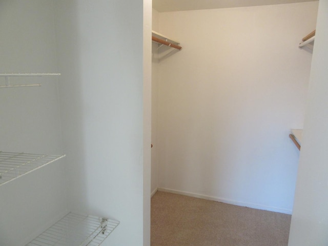 733 Limerick Ln Unit 3D, Schaumburg, IL 60193 - walk in closet with carpet floors