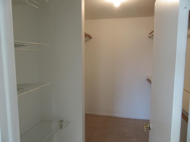733 Limerick Ln Unit 3D, Schaumburg, IL 60193 - spacious closet with carpet
