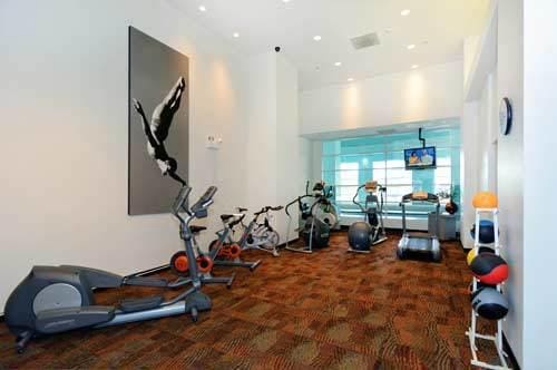 474 N Lake Shore Dr Unit 4808, Chicago, IL 60611 - exercise room featuring carpet flooring