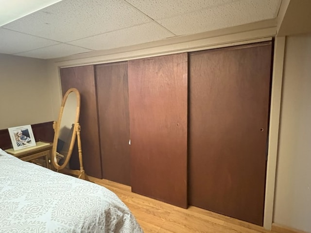 bedroom with a closet, light wood finished floors, and a drop ceiling