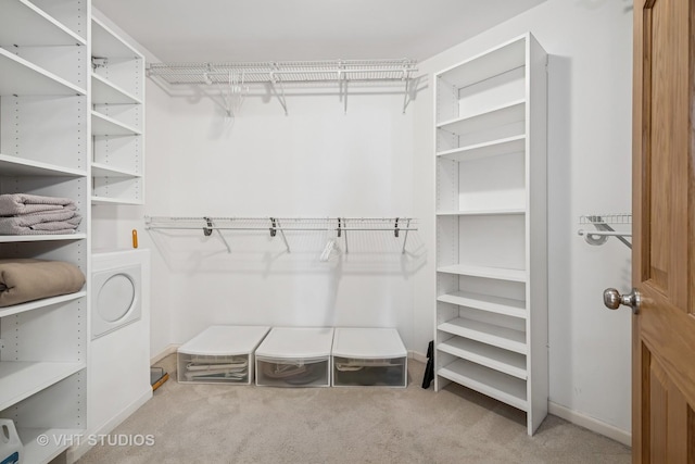874 W Goodrich Pl, Palatine, IL 60067 - spacious closet featuring carpet floors