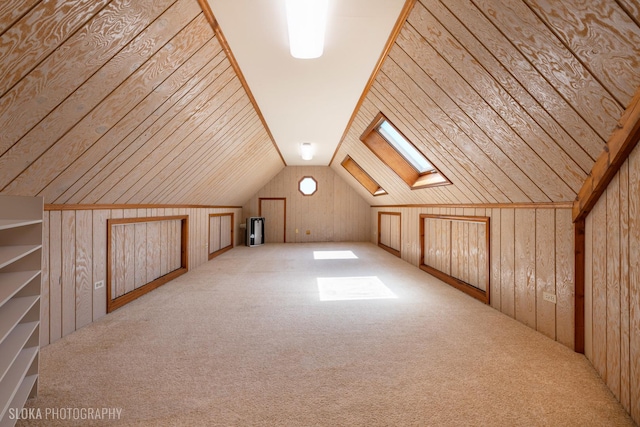 1 Byron Ct, Hawthorn Woods, IL 60047 - additional living space with a skylight, carpet floors, wooden walls, and vaulted ceiling