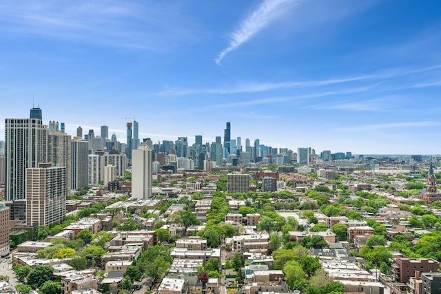 1960 N Lincoln Park W Unit 2402, Chicago, IL 60614 - view of city