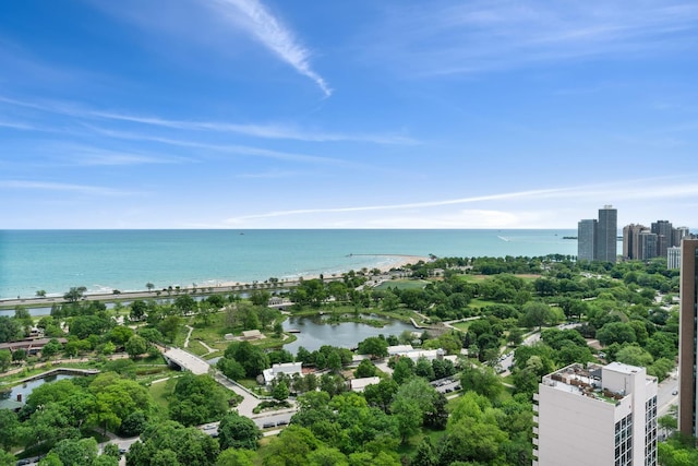 1960 N Lincoln Park W Unit 2402, Chicago, IL 60614 - aerial view of a nearby body of water