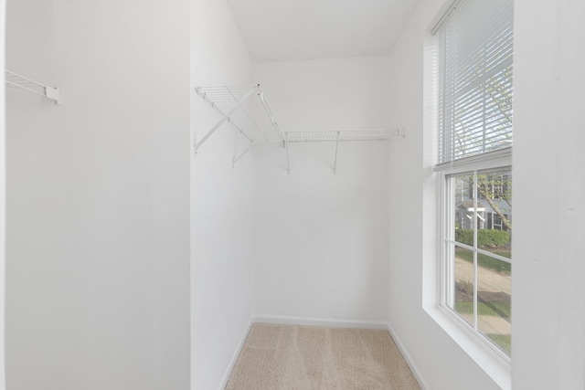 spacious closet with carpet flooring