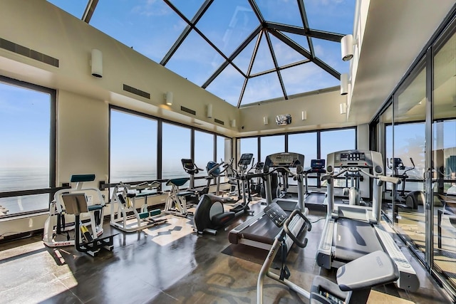 exercise room with a high ceiling
