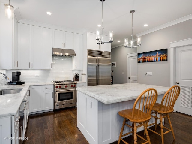 kitchen featuring premium appliances, under cabinet range hood, a center island, decorative backsplash, and dark wood-style floors