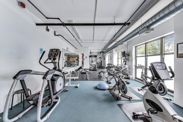 1735 W Diversey Pkwy Unit 206, Chicago, IL 60614 - view of workout area