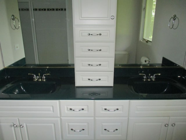 27094 W Lakeview Dr S, Lake Barrington, IL 60084 - bathroom featuring double vanity