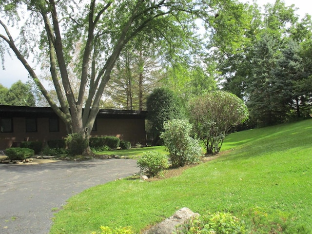 27094 W Lakeview Dr S, Lake Barrington, IL 60084 - view of grassy yard