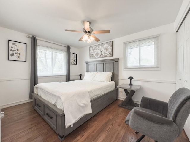 bedroom featuring ceiling fan, multiple windows, wood finished floors, and a closet