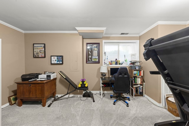 office space with baseboards, carpet flooring, and crown molding