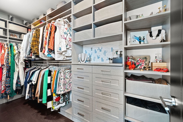 walk in closet featuring dark wood-style flooring