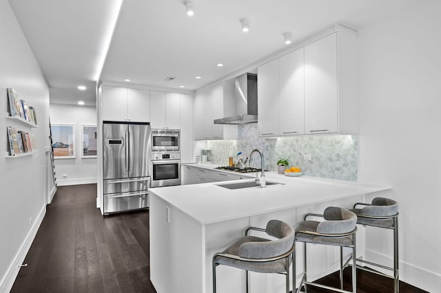 kitchen featuring dark wood-style flooring, light countertops, wall chimney exhaust hood, a sink, and appliances with stainless steel finishes