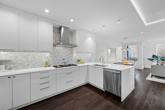 kitchen featuring a peninsula, modern cabinets, wall chimney exhaust hood, a sink, and stainless steel appliances