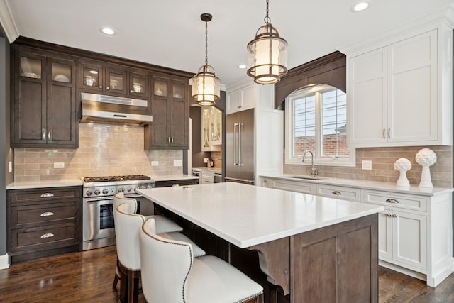 840 S Madison St, Hinsdale, IL 60521 - kitchen with under cabinet range hood, high quality appliances, a sink, light countertops, and a center island