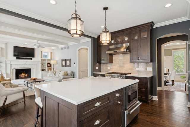 840 S Madison St, Hinsdale, IL 60521 - kitchen featuring under cabinet range hood, arched walkways, a warming drawer, light countertops, and crown molding