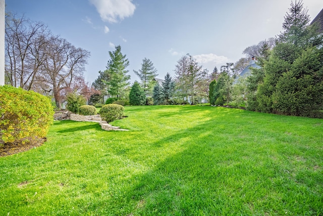 view of yard