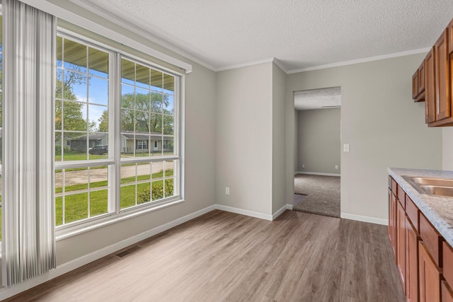 interior space with visible vents, a textured ceiling, a wealth of natural light, and light wood-type flooring