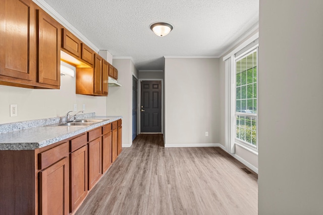 kitchen with a sink, brown cabinetry, under cabinet range hood, and light wood finished floors