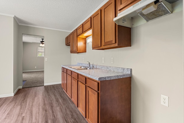 kitchen with a sink, dark wood-style flooring, under cabinet range hood, and brown cabinets