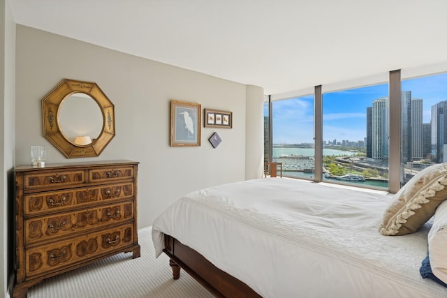 carpeted bedroom featuring baseboards, a view of city, and a water view
