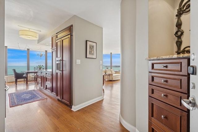 hall with baseboards and light wood finished floors