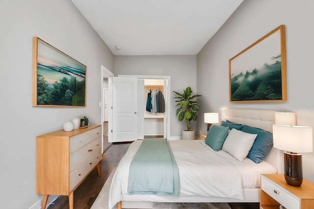 bedroom with a spacious closet, a closet, and dark wood-type flooring