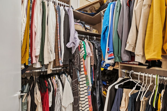 view of walk in closet