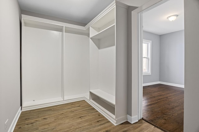 spacious closet featuring wood finished floors