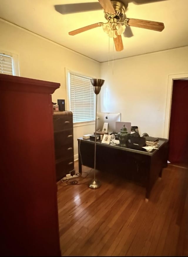 office featuring a ceiling fan and dark wood finished floors