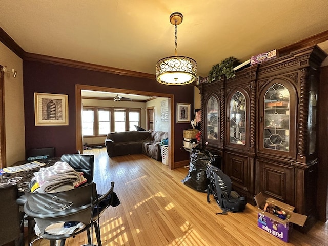 interior space featuring crown molding, ceiling fan, and light wood-type flooring