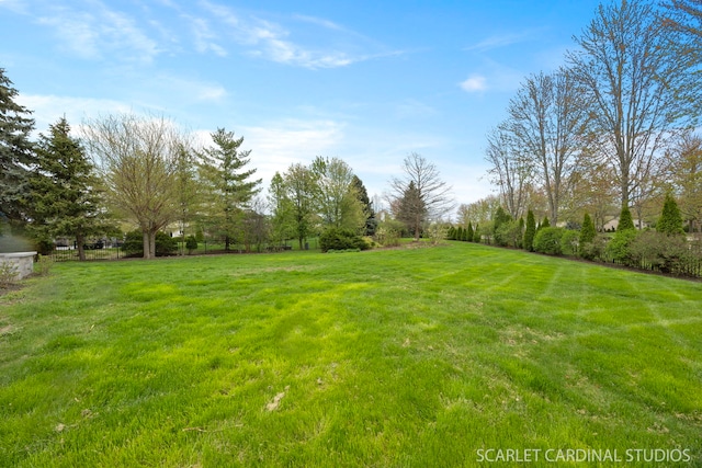 2716 Whitchurch Ct, Naperville, IL 60564 - view of yard