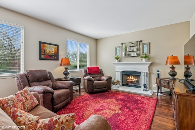 living room featuring a lit fireplace and wood finished floors