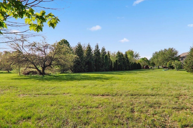 2 Reading Rd, Bloomington, IL 61701 - view of yard featuring a rural view