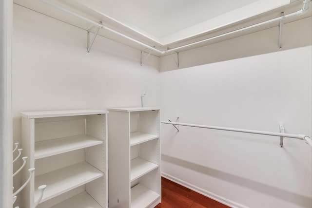 spacious closet with dark wood-type flooring