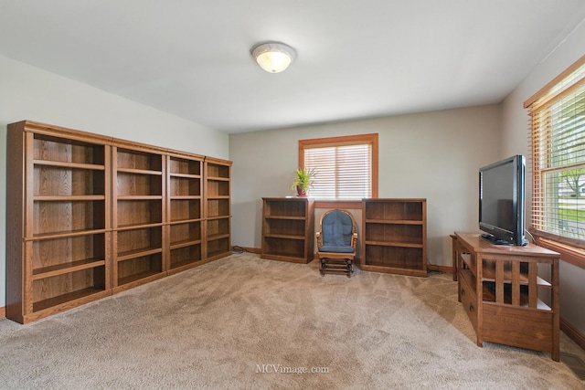 office space with baseboards and carpet