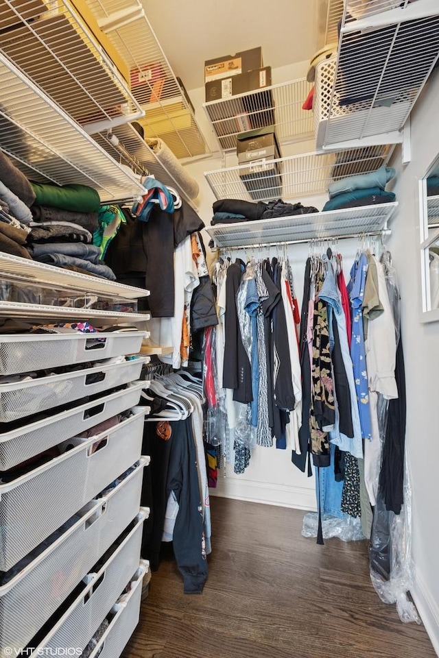 spacious closet with wood finished floors