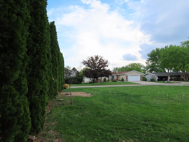 302 Windsor Dr, Ottawa, IL 61350 - view of green lawn with a garage and driveway