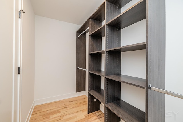 spacious closet featuring light wood-type flooring