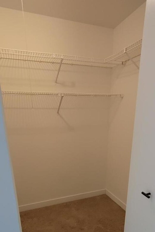 55 W 64th St Unit 202, Westmont, IL 60559 - walk in closet with carpet floors