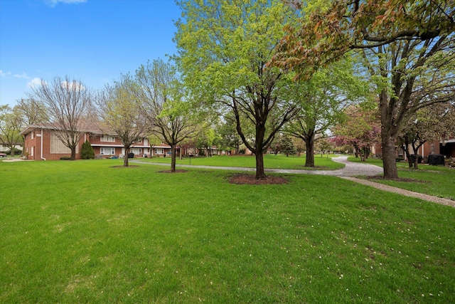165 Dover Dr Unit 3, Des Plaines, IL 60018 - view of yard