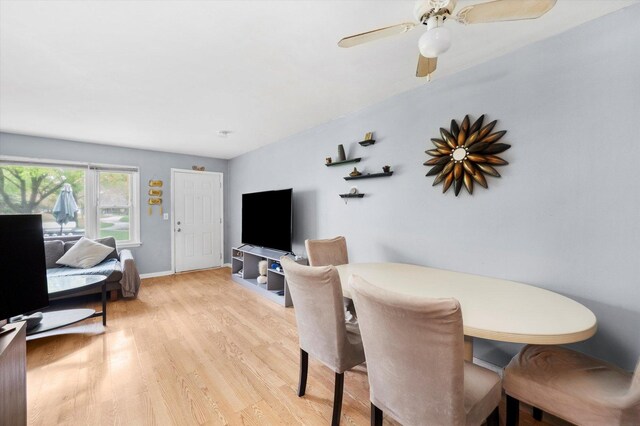 165 Dover Dr Unit 3, Des Plaines, IL 60018 - dining space with baseboards, ceiling fan, and light wood-style flooring