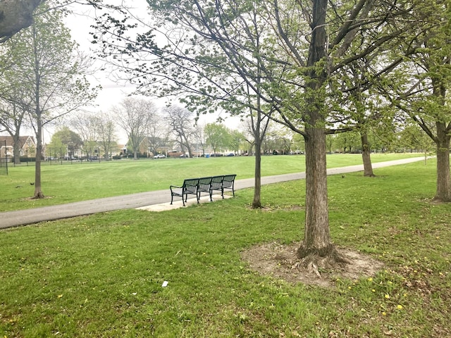 view of community featuring a yard