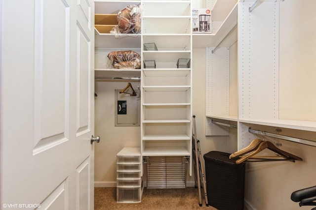 949 N Willard Ct Unit 302, Chicago, IL 60642 - spacious closet featuring carpet