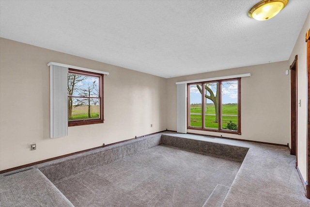 carpeted spare room featuring baseboards, a textured ceiling, a wealth of natural light, and visible vents