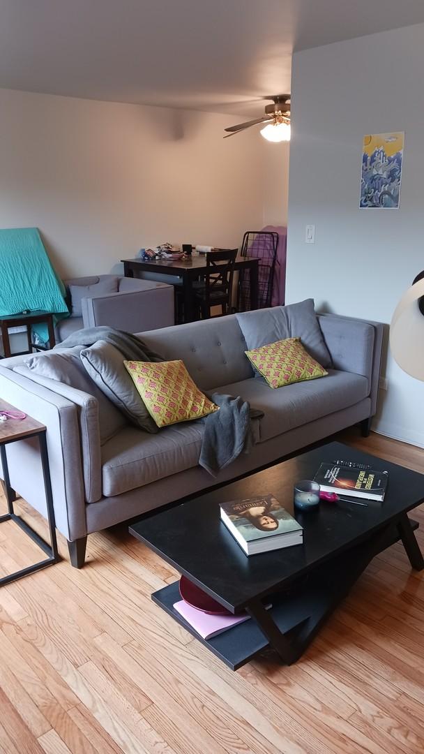 7019 N Ridge Blvd Unit 3B, Chicago, IL 60645 - living room featuring wood finished floors and ceiling fan